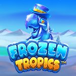 Frozen Tropics